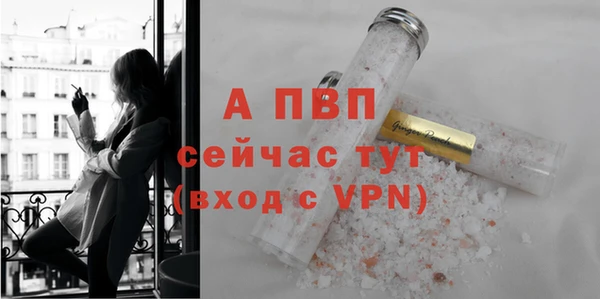 гашик Новодвинск
