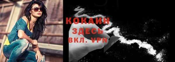 гашик Новодвинск