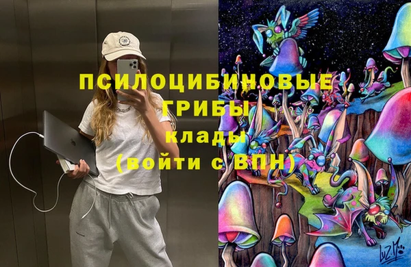 марихуана Новозыбков