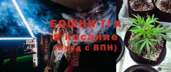 гашик Новодвинск