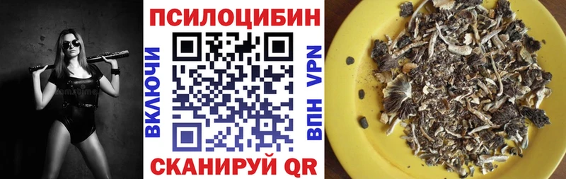 Галлюциногенные грибы MAGIC MUSHROOMS  Нытва 